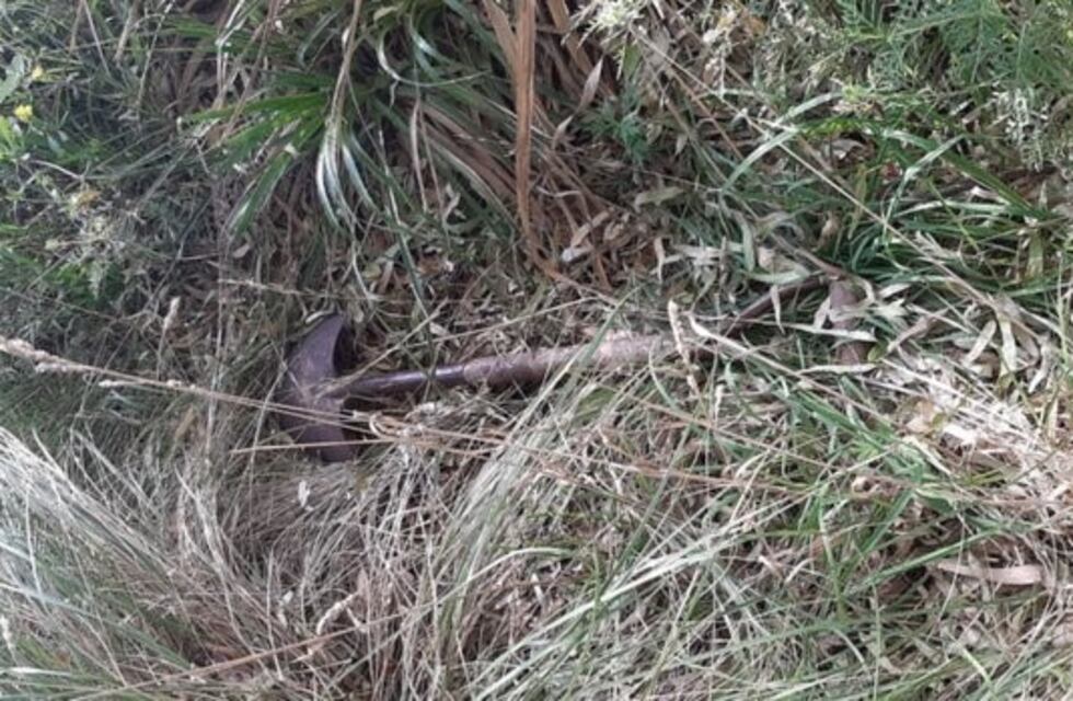 Hallaron en Los Acantilados una pala que le habían prestado a la ex pareja de Claudia Repetto