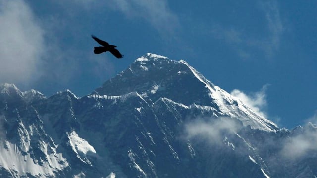 A Bird flies as Mount Everest is seen from Namche Bajar, Solukhumbu district, Nepal, Monday, May 27, 2019\u002E (AP Photo/Niranjan Shrestha)