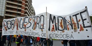 Marcha en Córdoba a favor del bosque nativo