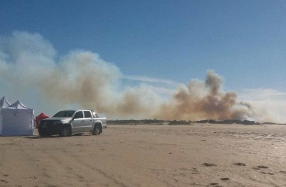 Un importante incendio forestal causó temor en Villa Gesell