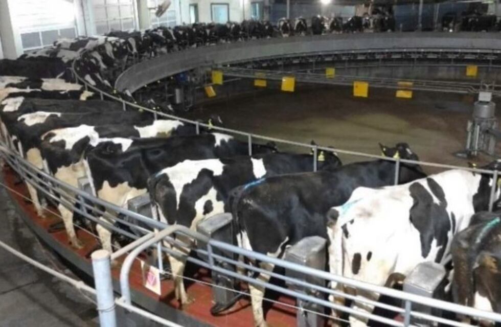 Brasil quiere bloquear las importaciones de leche de Argentina y Uruguay