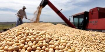 Estiman un aumento en la producción de soja en la zona