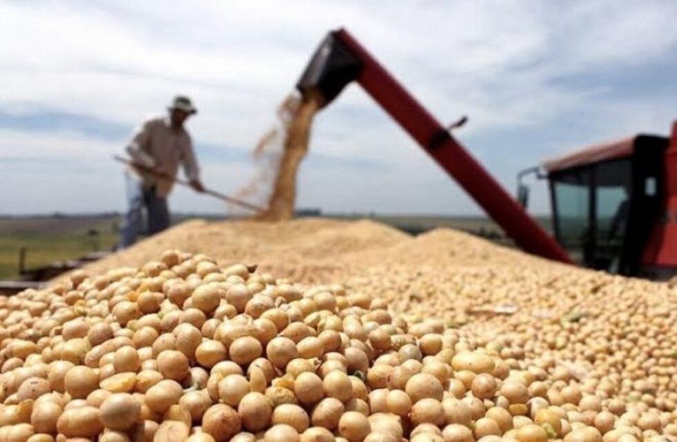 Estiman un aumento del 35% en la producción de soja en la zona