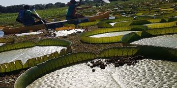 La travesía parte del puerto local el día 23 de marzo a las 8 horas