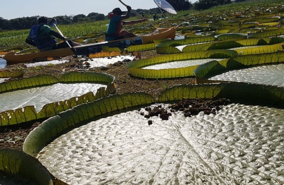 Travesía náutica por el Día Nacional de la Memoria por la Verdad y la Justicia