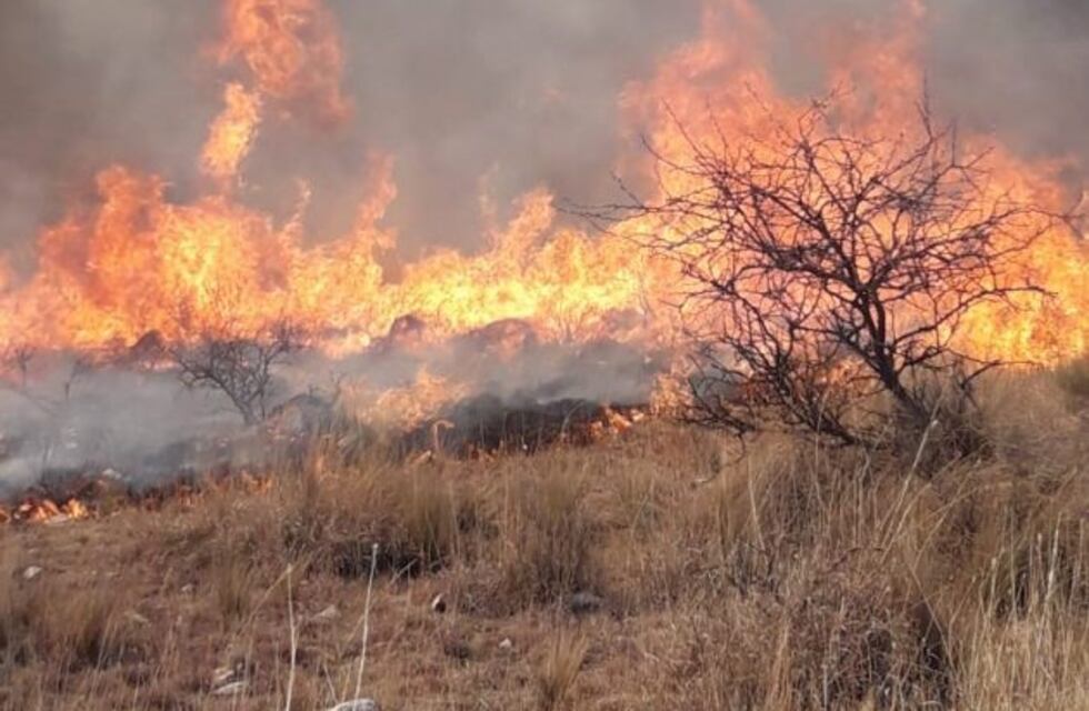 Otra vez incendios en Mendoza: se quemaron 250 hectáreas en Tunuyán