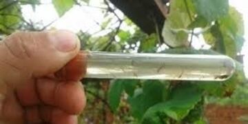 Estiman que los casos seguirán aumentando en la provincia