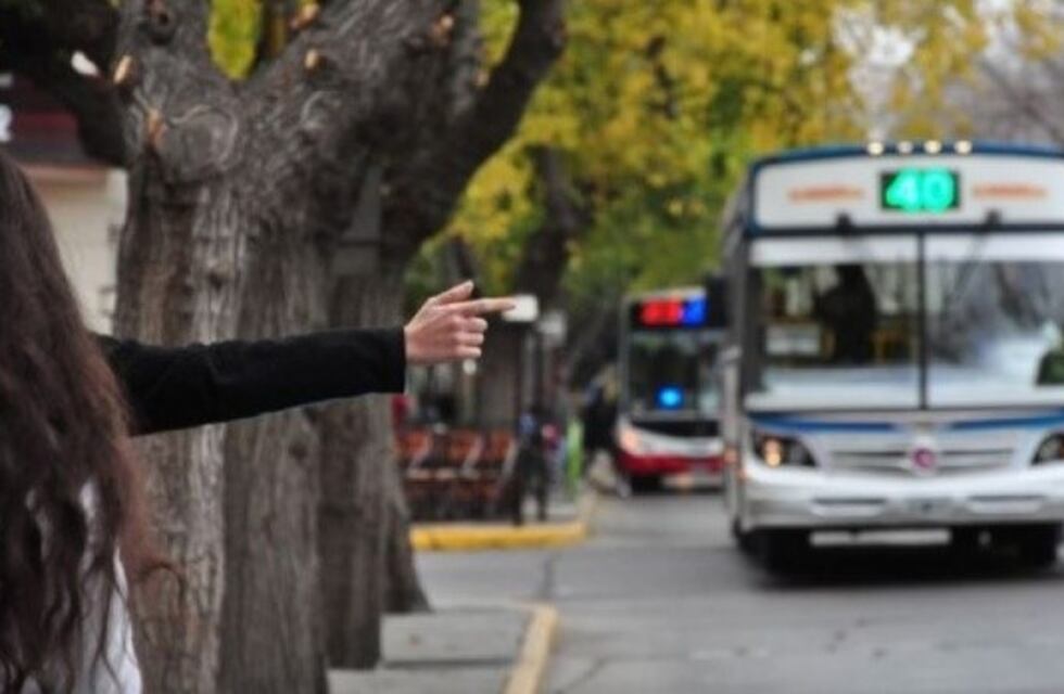 Alumnos reclaman más colectivos después que la empresa quitara una unidad