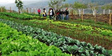 Agroecologia