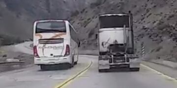 Un mico pasó a un camión en plena ruta en Alta Montaña\u002E