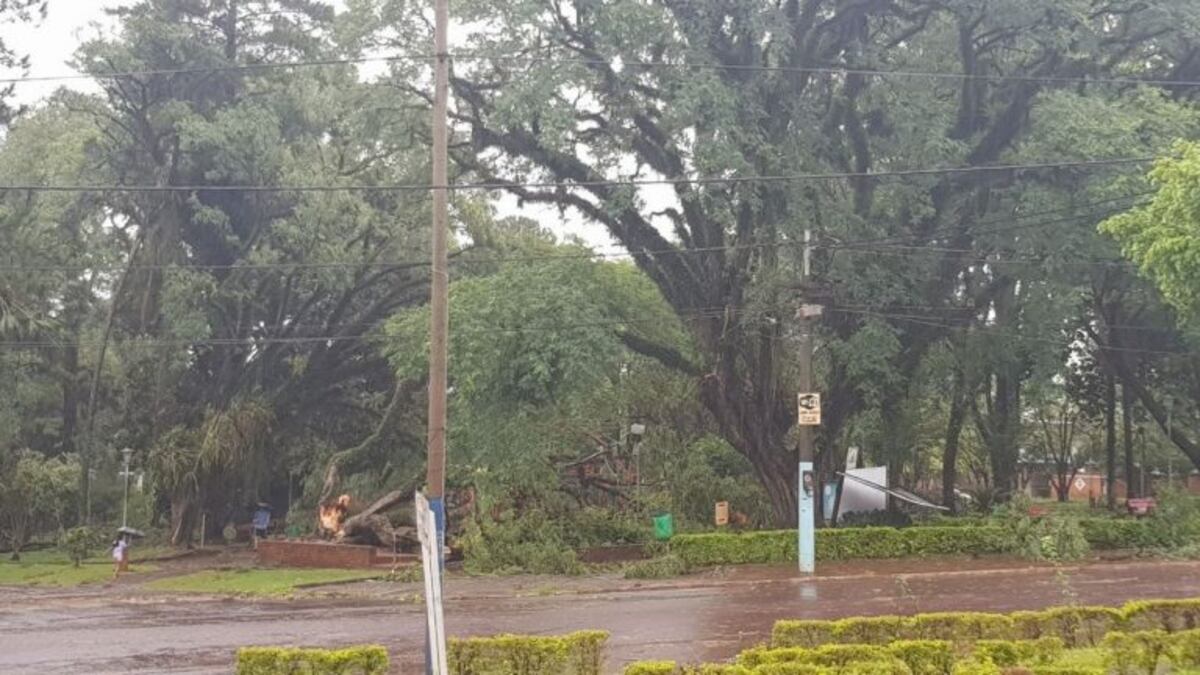 Montecarlo: continúan asistiendo a los damnificados por el temporal