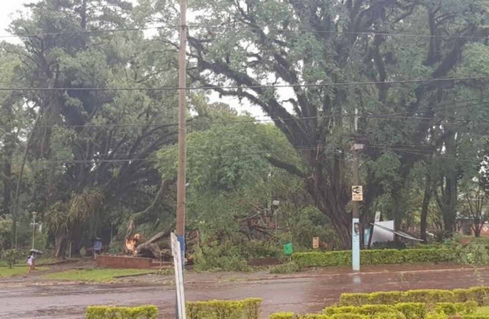 Montecarlo: continúan asistiendo a los damnificados por el temporal