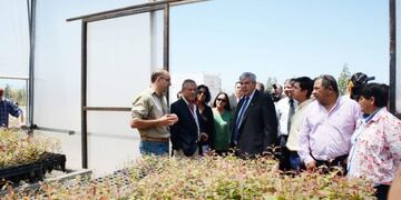 Centro Foresto Industrial, en Arrayanal, Jujuy