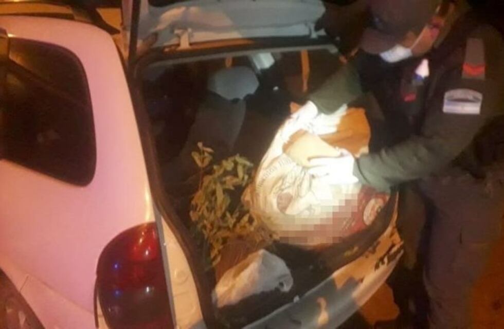 Detuvieron un vehículo con más de 75 kilos de marihuana