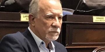 Omar Plaini, senador provincial por el Frente de Todos (Twitter Plaini)