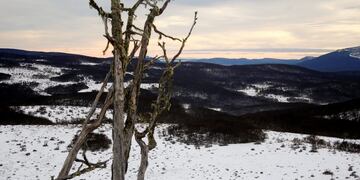 Foto: EFE/Nuria Engelmo