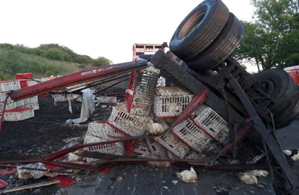 Volcó un camión con pollos en la ruta 20