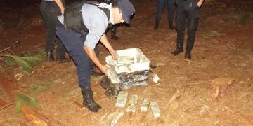 Puerto Libertad: la policía descubrió 41 kilos de marihuana en un pinar