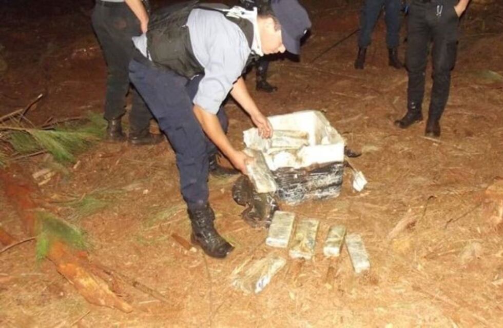 Puerto Libertad: la policía descubrió 41 kilos de marihuana en un pinar