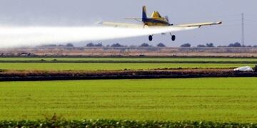 El Servicio de Tratamientos Aéreos se llevará a cabo en 54\u002E976 hectáreas, en el territorio de Mendoza\u002E