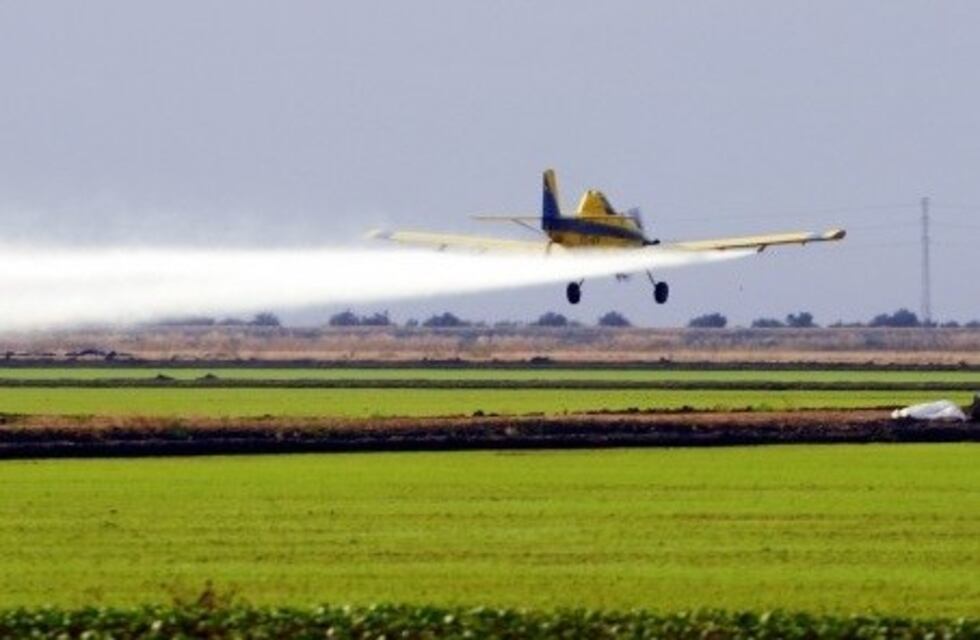 Polémica: la justicia avaló la pulverización aérea