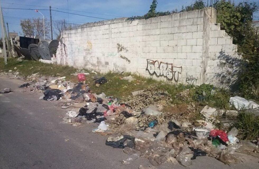 El municipio cobra más de 70 mil pesos por la limpieza de baldíos