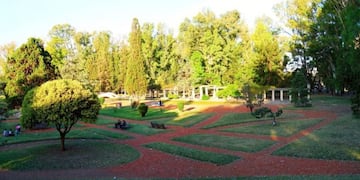 Para el mantenimiento de los rosales se construyó un sistema de riego por goteo\u002E