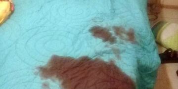 El ataque ocurrió en un departamento de barrio Nueva Córdoba\u002E (Cadena 3)