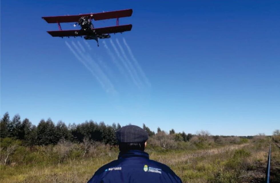 Realizaron tareas de control químico de la manga de langosta sobre 400 hectáreas