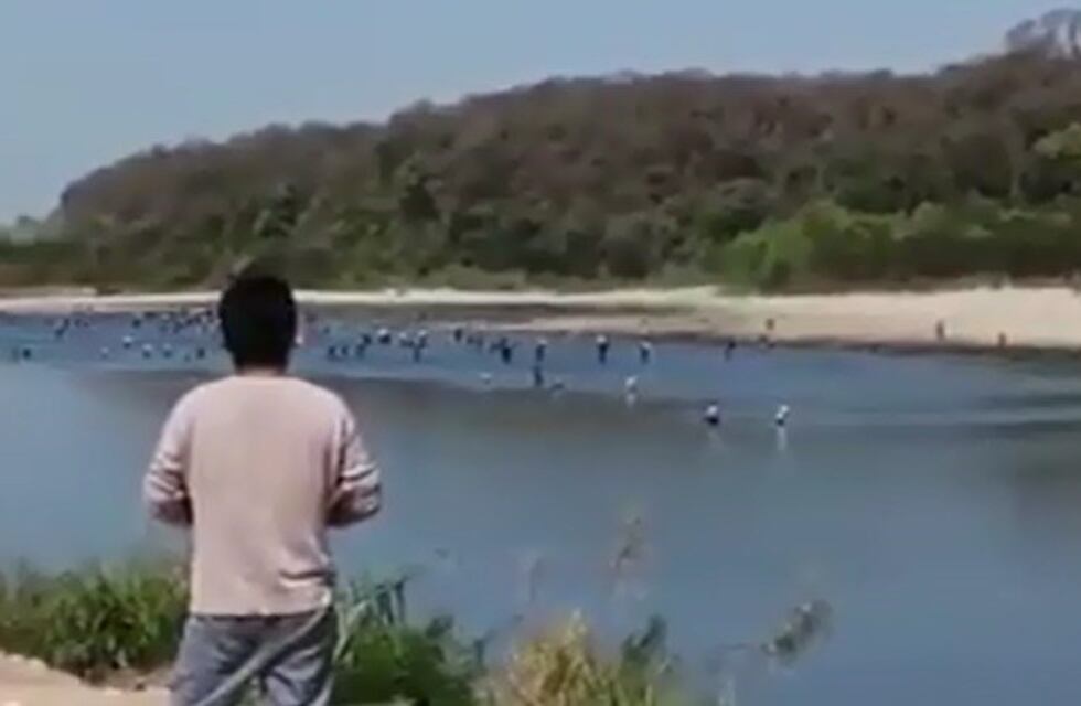 Frontera caliente: impactante video muestra como cientos de bolivianos intentan ingresar al país por el río Bermejo