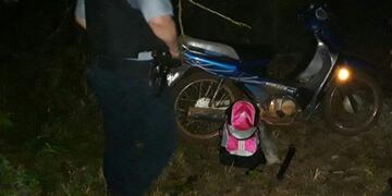 Además de la madera, se secuestró una moto, herramientas y un bidón con combustible\u002E