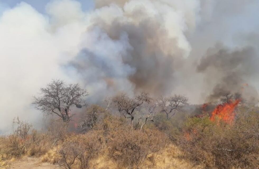 El incendio forestal en San Carlos Minas, "complicado y muy activo"