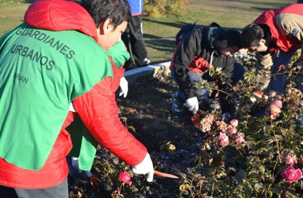 Guardianes Urbanos: Alumnos y profesores del CAAD embellecieron el Paseo de las Rosas