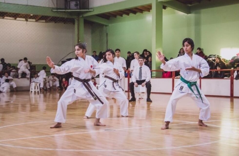 Karate: se realizará un torneo y encuentro de integración de karate do Shito Ryu Hayashi Ha
