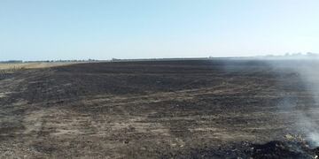 Incendio en zona rural de Marull (Bomberos voluntarios de Marull)