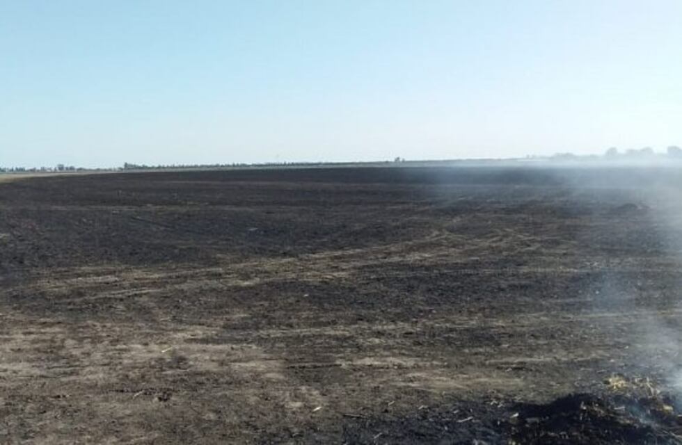 Región de Ansenuza: preocupa el alto riesgo de incendios