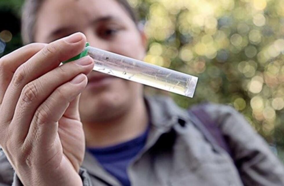 El ministro de Salud de Misiones descartó una epidemia de dengue