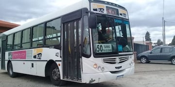 Imagen archivo\u002E Colectivos de Bariloche de la empresa Mi Bus\u002E