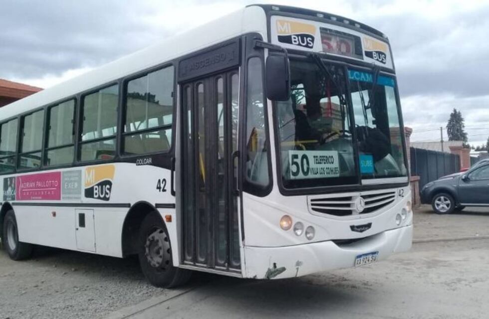 El subsidio a "Mi Bus" sería a cambio de un boleto estudiantil gratuito