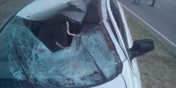 Un auto chocó a un caballo en San Luis,