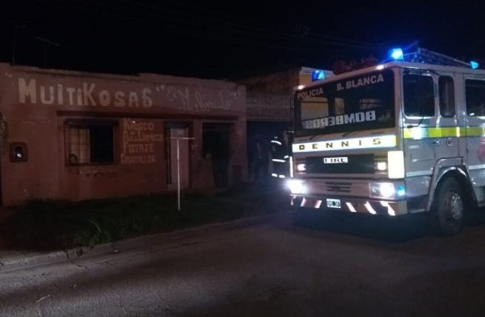 Bahía Blanca: se incendió una vivienda y le suministraron oxígeno a un gato