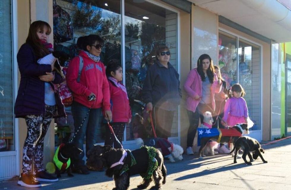 Se realizará la cuarta campaña de Castración Masiva