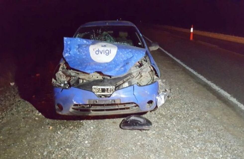 Otro accidente de tránsito ocasionado por animales sueltos en RN3