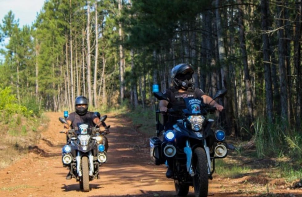 Recuperan elementos robados y secuestran un camión con madera nativa en operativos rurales