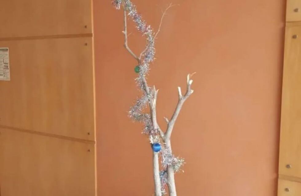 Se quejó del árbol de Navidad que pusieron en el hall del edificio y se volvió viral