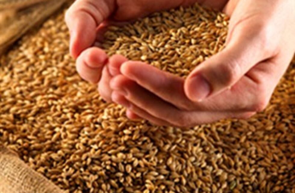 Tercera convocatoria para acceder al Programa "Chaco Semilla"