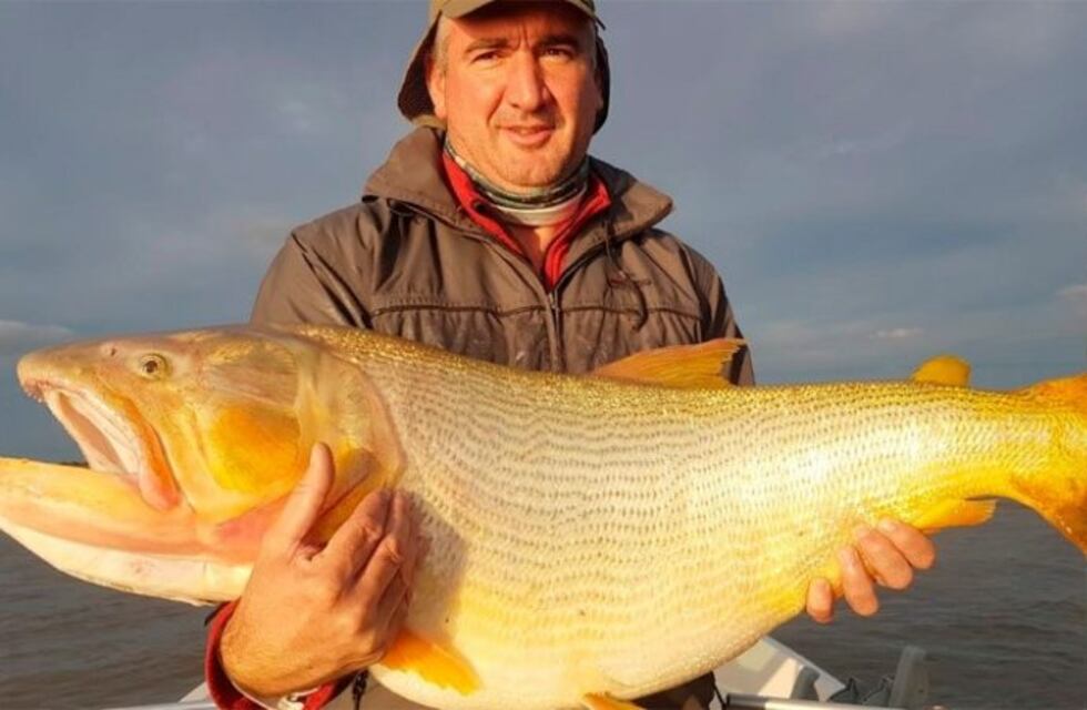Un pescador de Alcira Gigena sacó un dorado de...¡25 kilos!