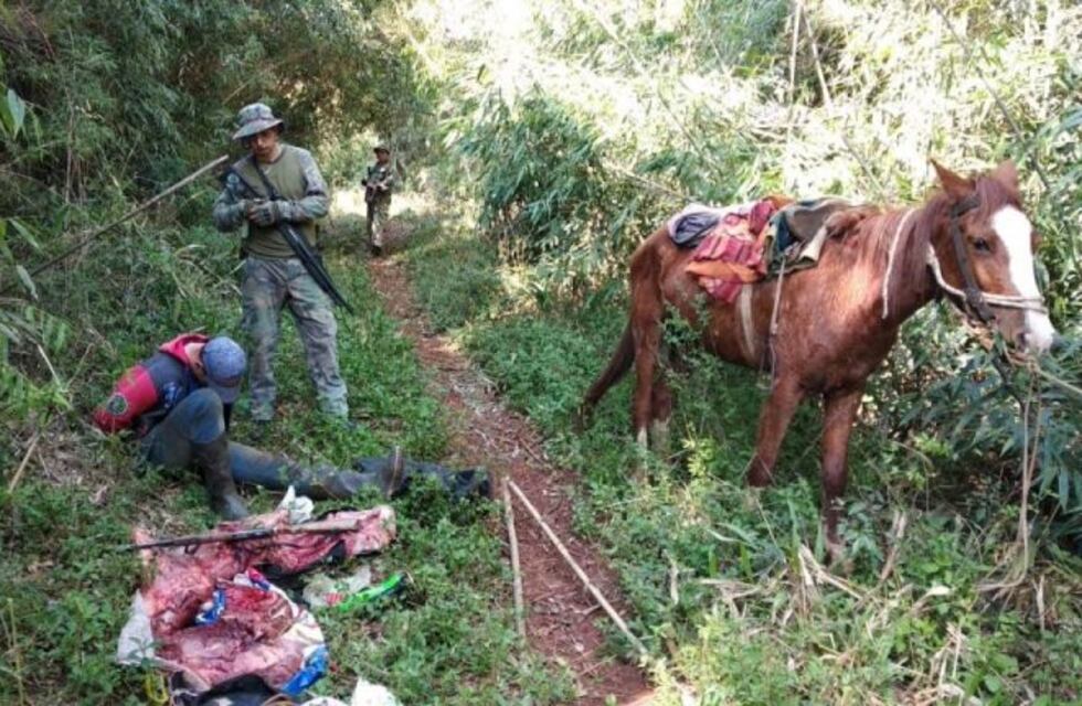 Detuvieron a cazadores furtivos en la Biósfera Yabotí