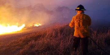 La desgarradora imagen de un animalito intentando escapar del fuego de las islas