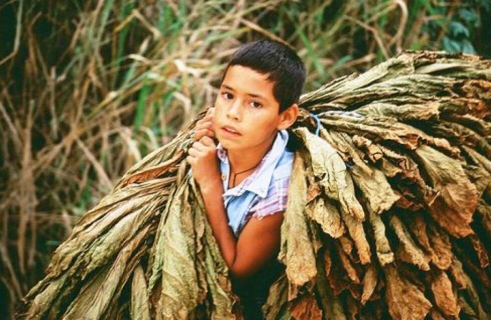 El gobierno de Río Negro inició una campaña provincial contra el trabajo infantil